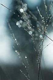 微软大裁员：B社、King受波及 《Everwild》据说被砍